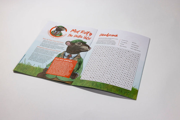 The Wind in the Willows Activity Book