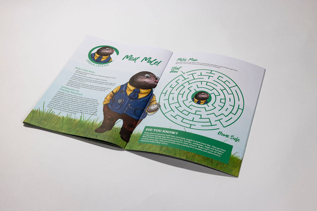 The Wind in the Willows Activity Book