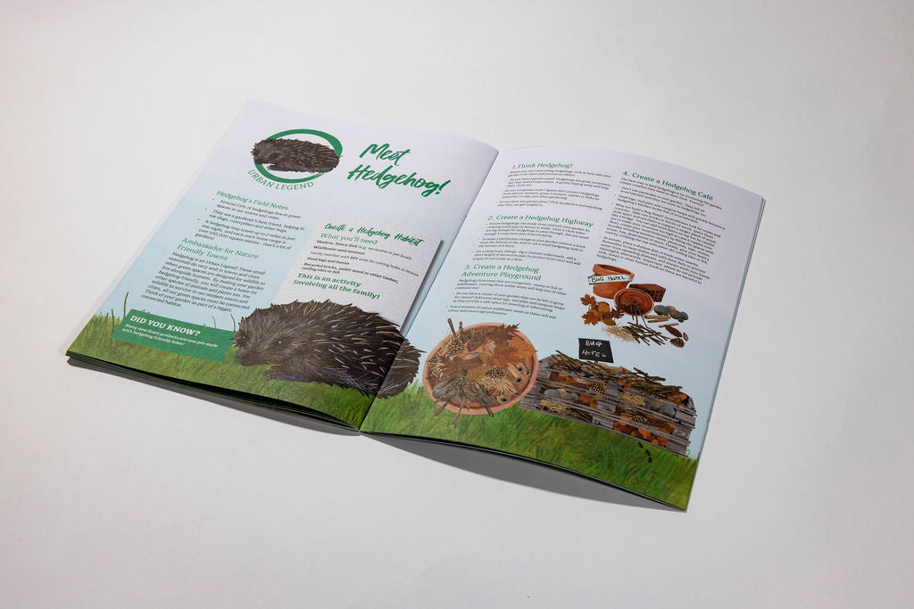 The Wind in the Willows Activity Book