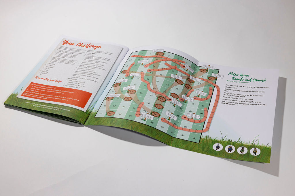 The Wind in the Willows Activity Book