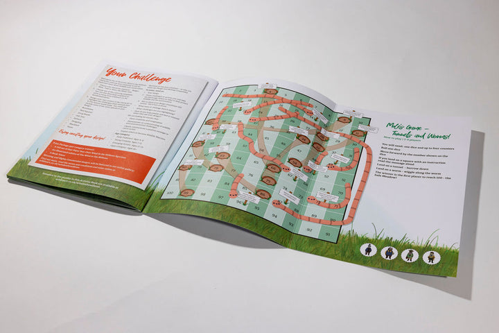 The Wind in the Willows Activity Book