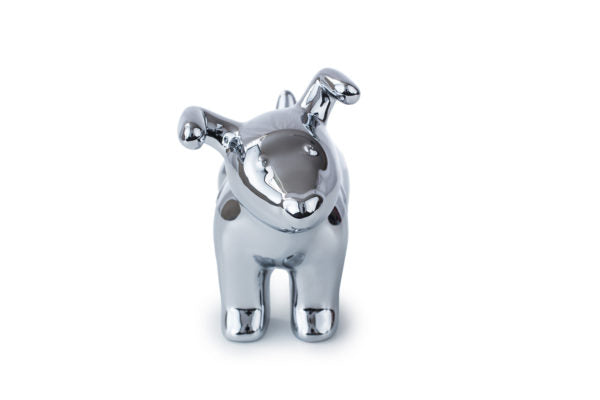 Snowdog Gizmo