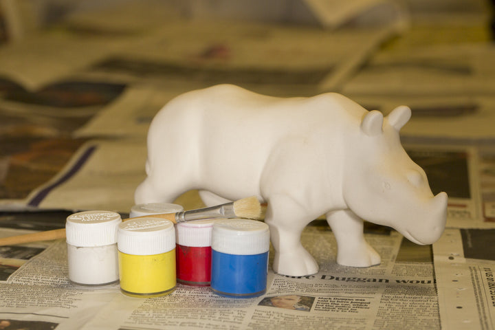 Paint Your Own Rhino